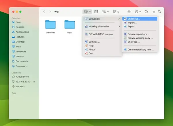 Check out working copy menu of macSvn