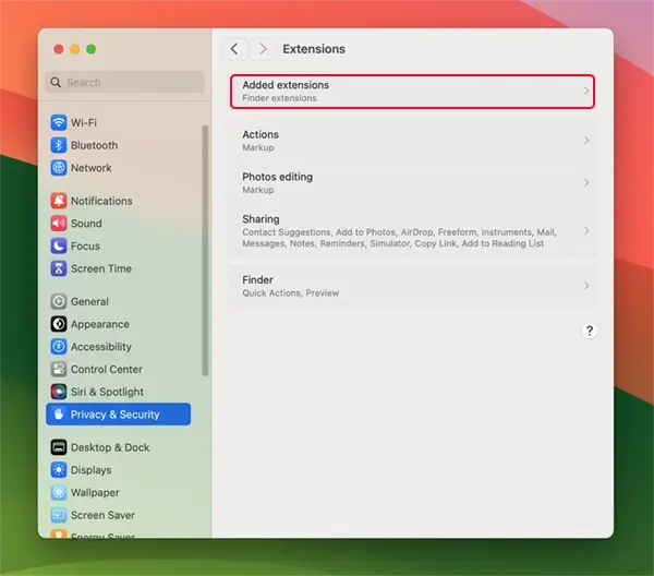 macOS System Settings/Privacy and Security/Extensions